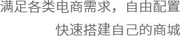电商类