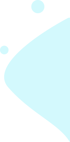 企业类